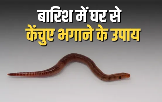 Barish Mein Kechua Kaise Bhagaye