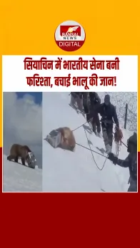 इंसानियत की मिसाल: भारतीय सेना ने हिमालयी भालू के सिर से फंसा डब्बा निकालकर बचाई जान
