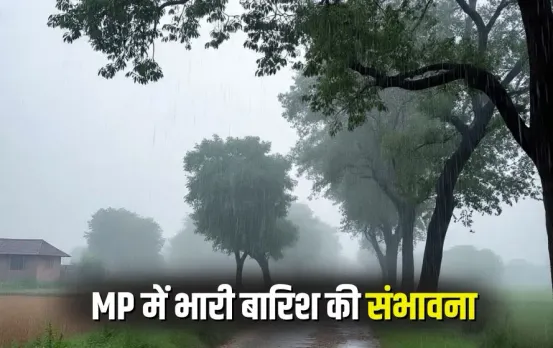 MP Rain Alert 9 August 2025