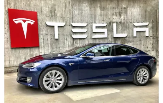 Tesla India Entry 2025