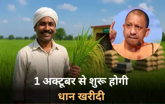 UP MSP Increased: यूपी में 1 अक्टूबर से शुरू होगी धान की खरीद, 23 हजार किसानों को फायदा, आदेश जारी