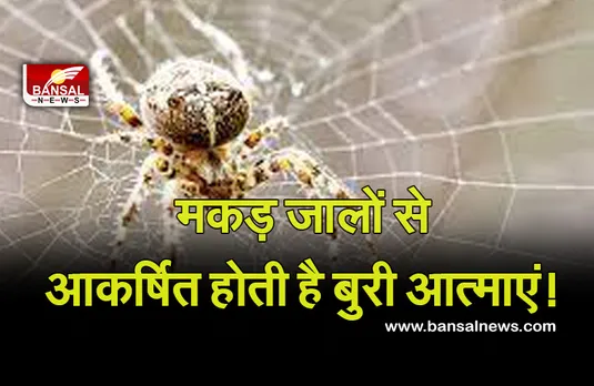 Vastu Tips : आपके यहां तो नहीं मकड़ी का जाला, घर हो जाता है शमशामघाट के समान, बुरी आत्माओं का होता है वास