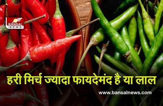 Red-Green Chilli Benefits  : लाल मिर्च या हरी, कौन सी करेगी ज्यादा फायदा।