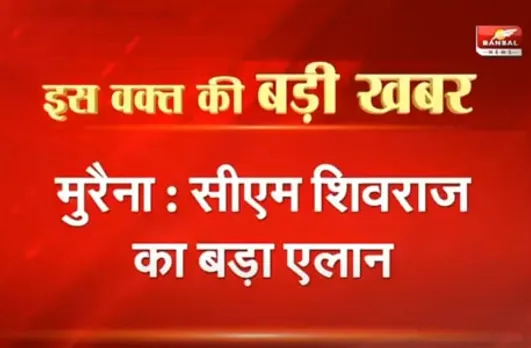 'MP' में जल्द शुरू होंगी सरकारी नौकरियों की भर्तियां', सीएम शिवराज का एलान