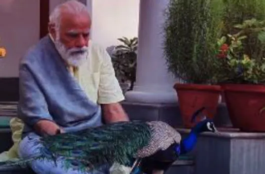 मोर संग पीएम मोदी की मनमोहक तस्वीरें, इंस्टाग्राम पर वीडियो किया शेयर