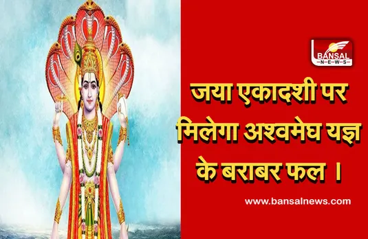 Aja ekadashi 2 September 2021 :  केवल तुलसी के दान से ही मिलेगा अश्वमेघ यज्ञों का फल। गुरूवार का दिन बनाएगा इसे खास।