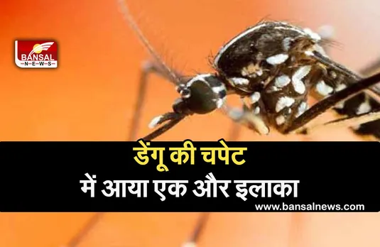 CG NEWS: डेंगू की चपेट में आया राजधानी का एक और इलाका,स्वास्थ्य विभाग की बढ़ी चिंता