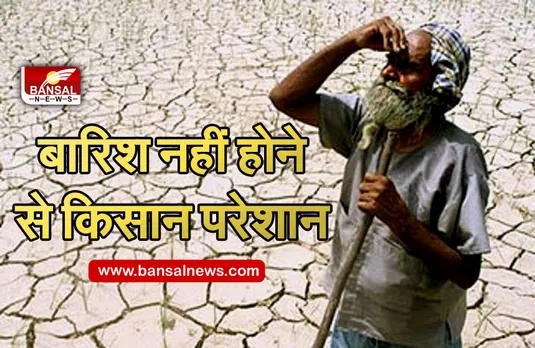 Monsoon Update : बारिश नहीं होने से किसानों की बढ़ी चिंता, फसलों को पहुंच रहा है भारी नुकसान
