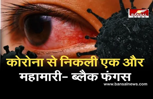 Black Fungus: कोरोना से जूझते लोगों में ब्लैक फंगस का बड़ा खतरा, इस सरकार ने भी घोषित किया महामारी