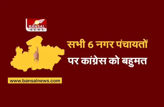 CG Nikaye Chunav 2021 : सभी 6 नगर पंचायतों में कांग्रेस को बहुमत, 90 में से 72 सीटों पर कांग्रेस का कब्जा