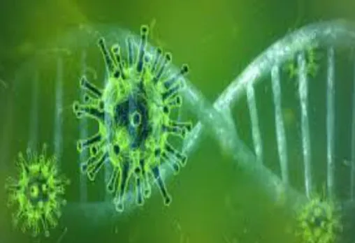 अब होम आइसोलेशन में नहीं रहेंगे कोरोना संक्रमित, जिला कलेक्टर ने जारी किए निर्देश