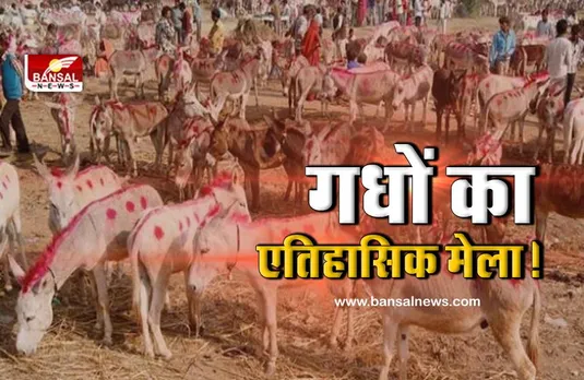 अजब-गजब : यहां 3 दिनों तक लगता है गधों का मेला, देखने के लिए दूर-दूर से लोग आते हैं
