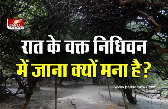 निधिवन मामले में मथुरा पुलिस ने YouTuber गौरव शर्मा को गिरफ्तार किया था, लेकिन क्या आप इस जंगल से जुड़ी मान्यता जानते हैं?