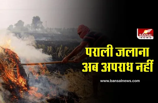 जानना जरूरी है: अब पराली जलाना अपराध नहीं! जानिए पहले क्या था नियम?