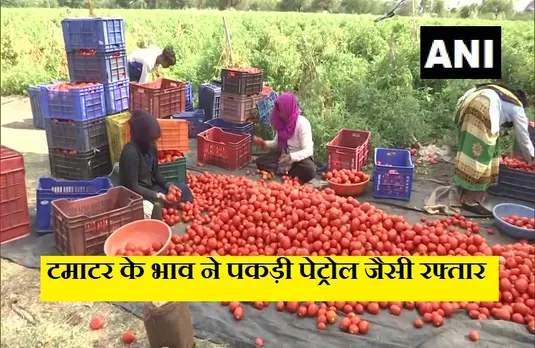 Tomato Price Hike: आसमान छूते टमाटर के दाम, अभी और बढ़ सकती हैं कीमतें!