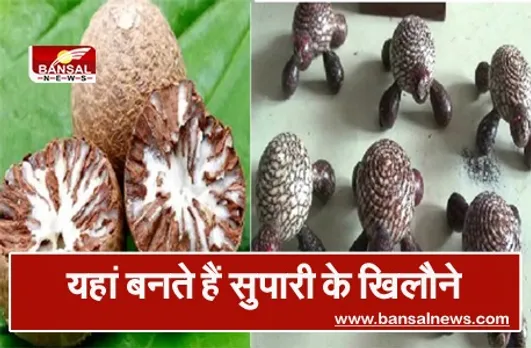 रीवा को सुपारी के खिलौने ने दिलाई राष्ट्रीय पहचान, तीन पीढ़ियों से जुटा है कुंदेर परिवार