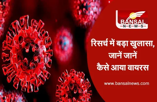 Corona Research: चमगादड़ से इंसानों में आया वायरस, रिसर्च में हुआ खुलासा