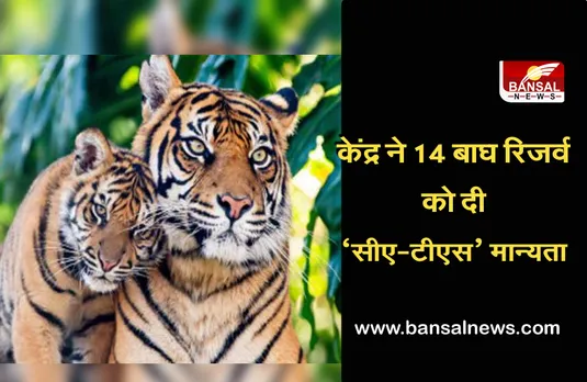 International Tiger Day: अंतरराष्ट्रीय बाघ दिवस के अवसर पर देश के 14 बाघ रिजर्व को ‘सीए-टीएस’मान्यता