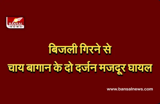 Weather Update: मौसम का कहर, बिजली गिरने से चाय बगान में काम कर रहे दो दर्जन लोग गंभीर रूप से घायल