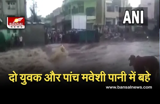 Flood In Maharashtra: मौसम की मार, पानी के तेज़ बहाव की चपेट में आए दो युवक सहित पांच मवेशी, देखें Video...