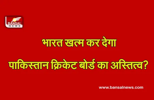 PCB प्रमुख Rameez Raja को सता रहा डर, बोले- भारत चाहे तो खत्म हो सकता है हमारा अस्तित्व