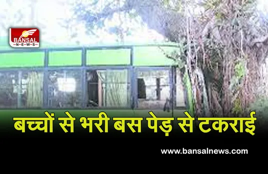 School Bus Accident: तेज रफ्तार स्कूल बस अनियंत्रित होकर पेड़ से टकराई, सात बच्चे जख्मी..
