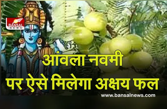 12 Nov Amla Navami 2021: इस दिन से शुरू हुआ था द्वापर युग, आने वाला है फिर से वो खास दिवस