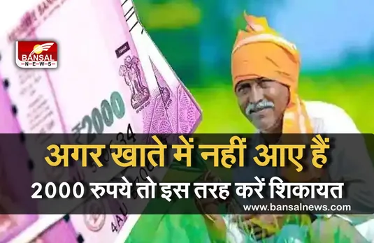 PM Kisan: अगर अब तक खाते में नहीं आए हैं 2000 रुपये तो ऐसे करें शिकायत, जल्द आएंगे पैसे!