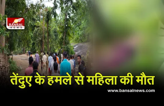 Breaking News: जंगल से लकड़ियां लेने गई महिला पर तेंदुए ने किया हमला, मौत, खून से लथपथ मिला शव