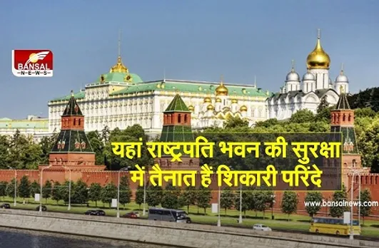 Azab Gazab News: इस देश में बाज और उल्लू करते हैं राष्ट्रपति भवन की सुरक्षा, इन्हें दी जाती है खास ट्रेनिंग, ये है वजह