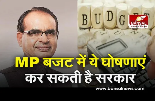 MP Budget 2021 :  पहली बार MP में 2 मार्च को पेश होगा पेपरलेस बजट, सरकार का इन चीजों पर रहेगा फोकस