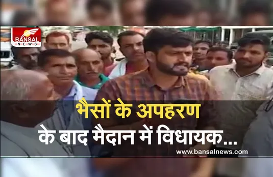 Crime News: इस इलाके में भैंसों को सुरक्षा नहीं दे पा रही पुलिस, विधायक को करनी पड़ी अधिकारियों से शिकायत