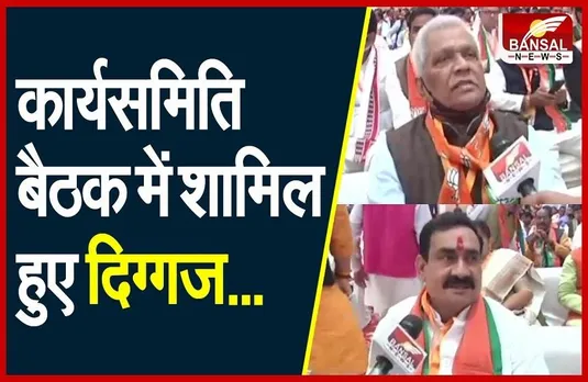 BHOPAL: बीजेपी प्रदेश कार्यसमिति की अहम बैठक, कई दिग्गज नेता हुए शामिल