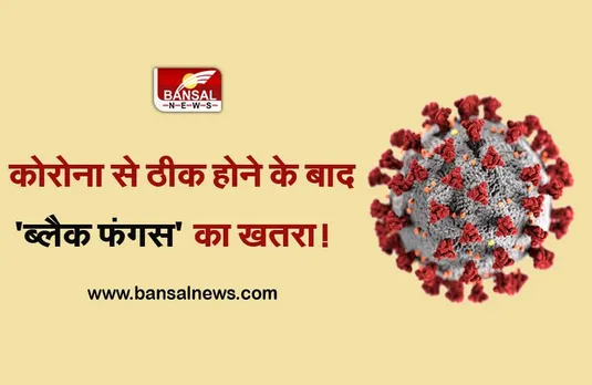 Black Fungus: कोरोना से जूझते लोगों में ब्लैक फंगस का खतरा, इस सरकार ने ब्लैक फंगस को घोषित किया महामारी