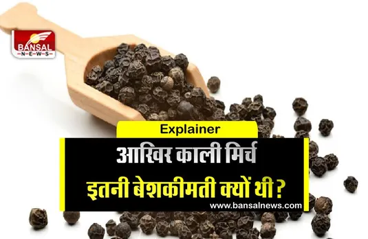 कभी यूरोप में सोने के भाव बिकती थी काली मिर्च,  नावों में सोना भरकर व्यापारी खरीदने पहुंचते थे भारत!