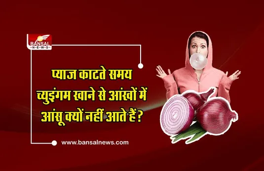 जानना जरूरी है: प्याज काटते वक्त च्युइंगम खाने से नहीं आते आंसू!, जानिए क्या है इसकी सच्चाई