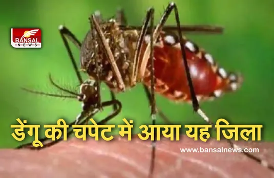 Dengue Outbreak: प्रदेश के इस जिले में बढ़ रहा डेंगू का कहर, पिछले दिनों में मिले 50 से ज्यादा मामले