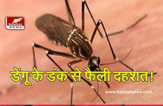 Dengue Outbreak: कोरोना के बाद प्रदेश में डेंगू का कहर! इन जिलों में सबसे ज्यादा खतरा