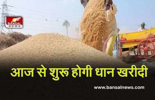 CG News: आज से शुरू होगी धान खरीदी, इतने किसानों ने कराया रजिस्ट्रेशन