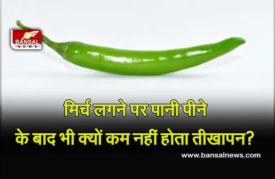 Eating Spicy Food : मिर्च लगने पर गटागट पानी पीने वाले जान लें, पानी पीने से कम नहीं ज्यादा लगती है मिर्ची
