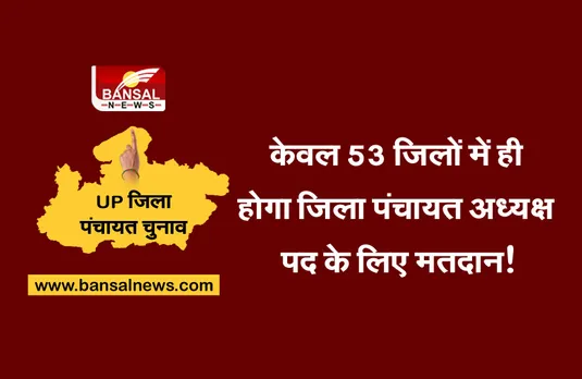 UP Zila Panchayat Chunav: UP के 53 जिलों में शुरू हुई वोटिंग, क्या BJP के लक्ष्य को तोड़ पाएगी सपा!