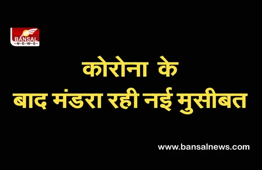 BREAKING NEWS: कोरोना और ब्लैक फंगस के बाद बढ़ा इस बीमारी का खतरा, स्वास्थ्य विभाग में मचा हड़कंप