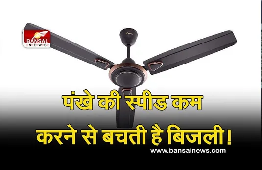 How To Save Electricity : क्या पंखे की स्पीड कम करने से बचेगी बिजली, आइए हम बताते हैं आपको