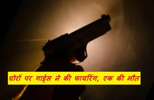 Breaking News: सुरक्षा गार्डों ने पथराव कर रहे चोरों पर की फायरिंग, एक चोर की मौत