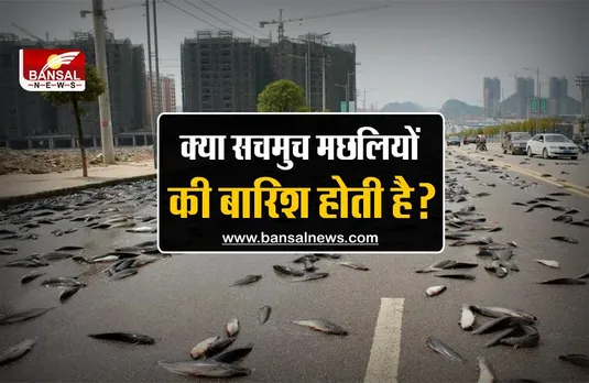 जानना जरूरी है: क्या सचमुच आसमान से मछलियों की बारिश होती है? जानिए इसके पीछे के रोचक तथ्य