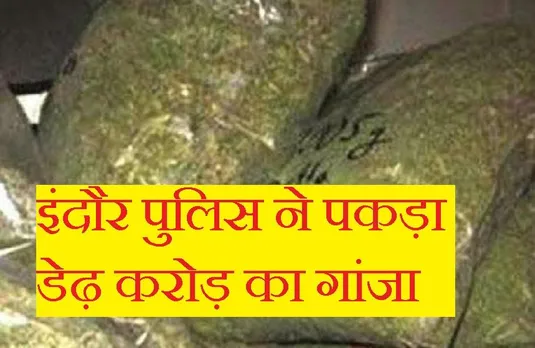 Crime News: इंदौर पुलिस ने फिर पकड़ी गांजे की बड़ी खेप, डेढ़ करोड़ बताई जा रही कीमत, दो गिरफ्तार