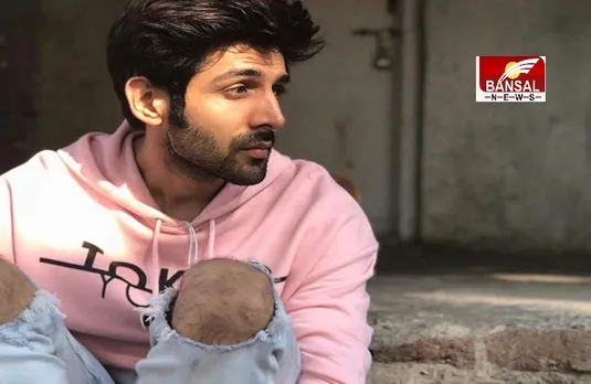 'दोस्ताना 2' के बाद 'रेड चिलीज' की फिल्म से बाहर हुए कार्तिक आर्यन, जानिए क्या हैं मामला