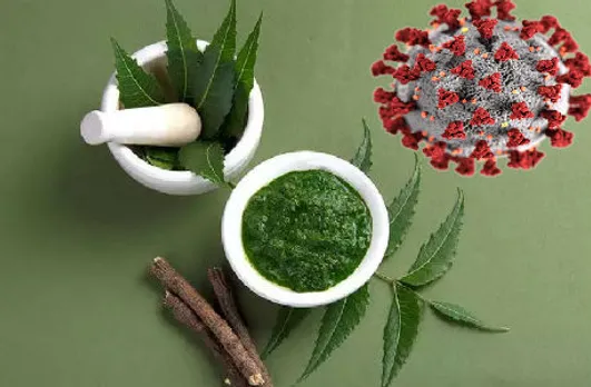 अब नीम से कोरोना का इलाज, कोरोना पर नीम के असर का ह्यूमन ट्रायल हो सकता है शुरु