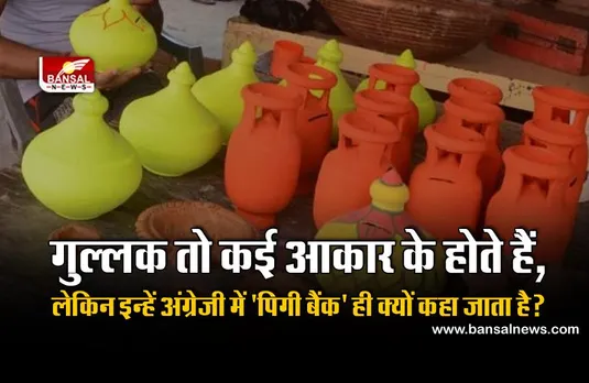 Janna Zaroori Hai: गुल्लक को अंग्रेजी में 'पिगी बैंक' ही क्यों कहा जाता है, जिराफ बैंक, शेर बैंक या गाय बैंक क्यों नहीं कहा जाता?
