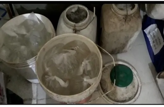 Ratibad Police: रातीबड़ पुलिस ने शराब तस्कर को पकड़ा, 66 लीटर अवैध शराब बरामद